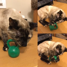 Load image into Gallery viewer, FALSE