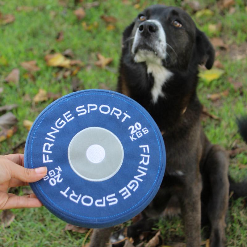 Weight Plate Dog Chew Toy